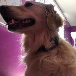 Meet your Posher, Natalie